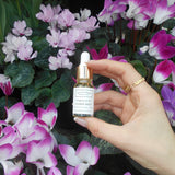 Flower Shop Fragrance Oil