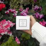 Flower Shop Mini Luxury Candle