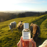 Fresh Linen Perfume